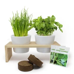 Photo de Plateau Duo Aromatiques