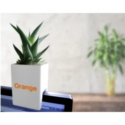 Photo de Pot végétal pour dessus d'ordinateur