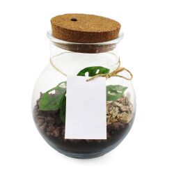 Photo de Terrarium lumineux