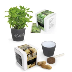Photo de Pot à graines en ardoise