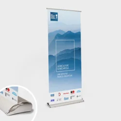 Photo de Kakémono / Roll-up "Élégance"