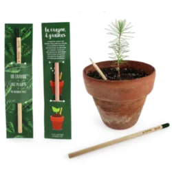 Photo de Crayon de bois à graines