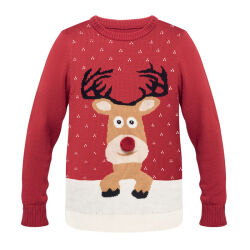 Photo de Pull de noël L/XL