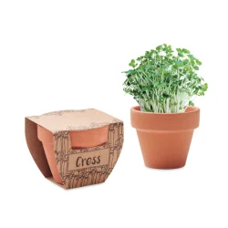 Photo de Pot avec graines de cresson
