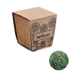 Photo de Kit de graines de tournesol