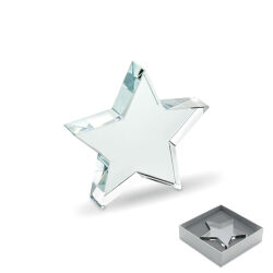 Photo de Trophée en verre Etoile