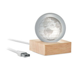 Photo de Boule en verre LED mappemonde