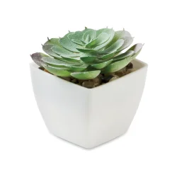 Photo de Mini plante artificielle Echeveria