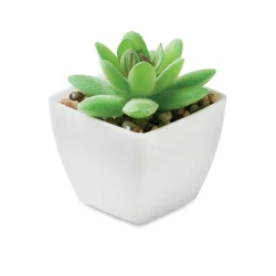Photo de Mini plante grasse porcelaine artificielle