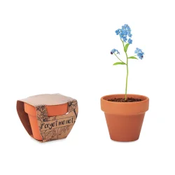 Photo de Pot à graines de myosotis