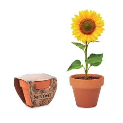 Photo de Pot à graines de tournesol