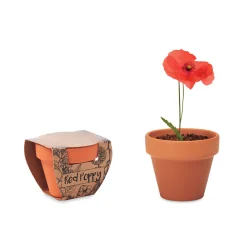 Photo de Pot à graines de coquelicot