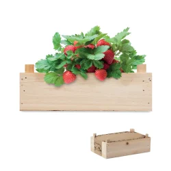 Photo de Kit de culture de fraises