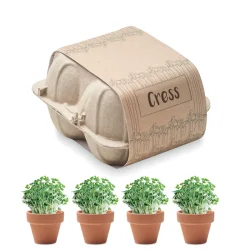 Photo de Kit de plantation dans une boîte à oeufs