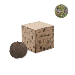 Photo de Kit de culture de fleurs