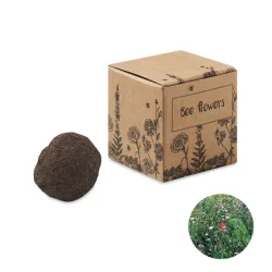 Photo de Kit bombe de graines fleurs d'abeilles à planter
