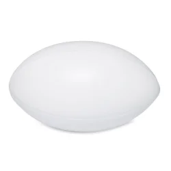Photo de Anti-stress ballon rugby
