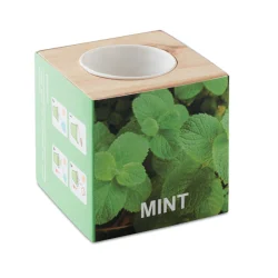 Photo de Pot en bois cubique avec graine Menthe