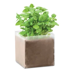 Photo de Pot avec graines de basilic