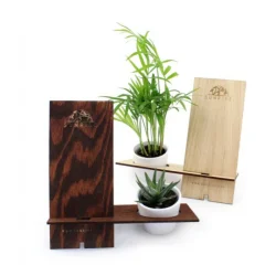 Photo de Support smartphone avec plante