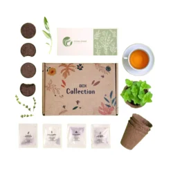 Photo de Kit création tisane