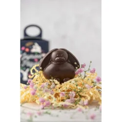 Photo de Lapin en chocolat 30g Bio