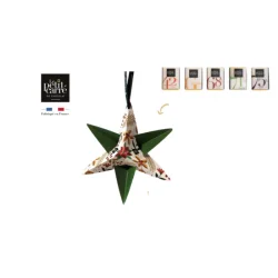 Photo de Etoile de noël 5g